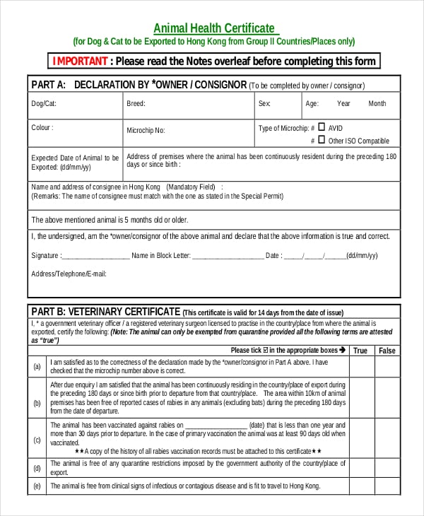 health certificate template for dog