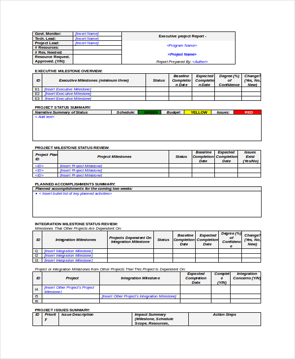 executive project update templates