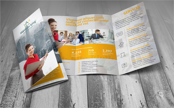 statistics and consulting trifold brochure