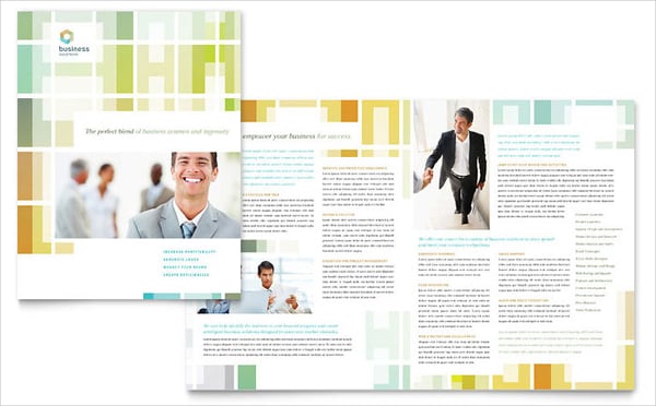 business solutions consultant brochure template