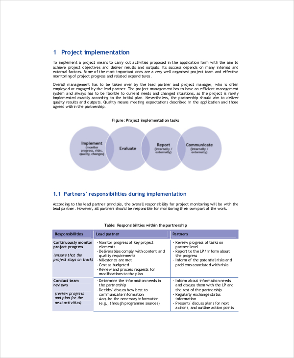 Project Implementation Report Template