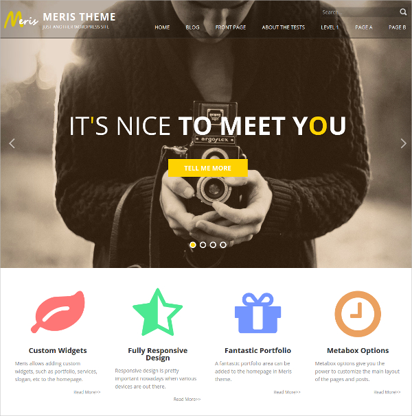 free-personal-design-wp-website-theme