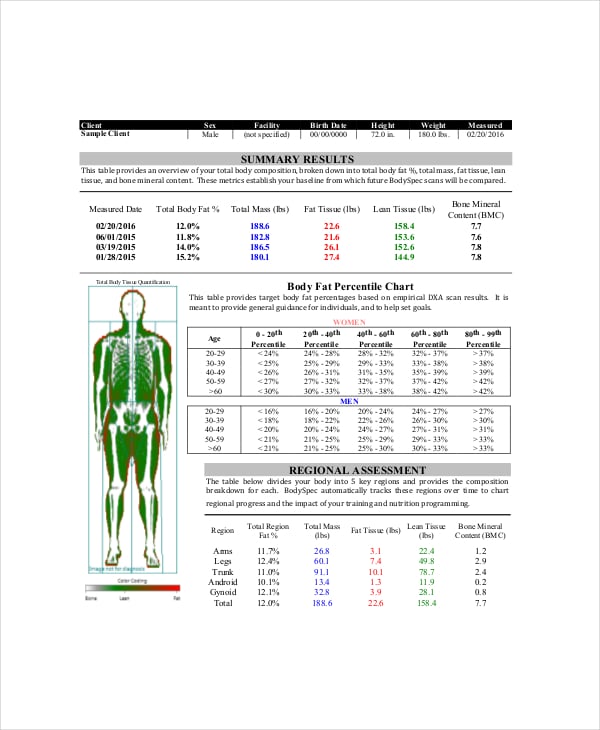 Body fat Chart Male - 7+ Free PDF Documents Download