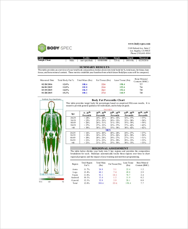 example body fat percentage chart