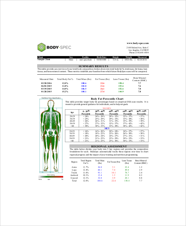 7+ Sample Body Fat Chart Templates by Age Free Sample, Example Format
