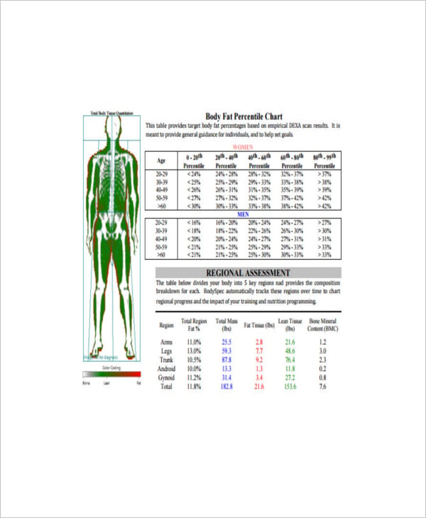 ideal body fat percentile chart example