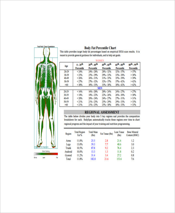 excel chart pivot percentile Chart Ideal Fat Example Body  7  Templates Free  Sample