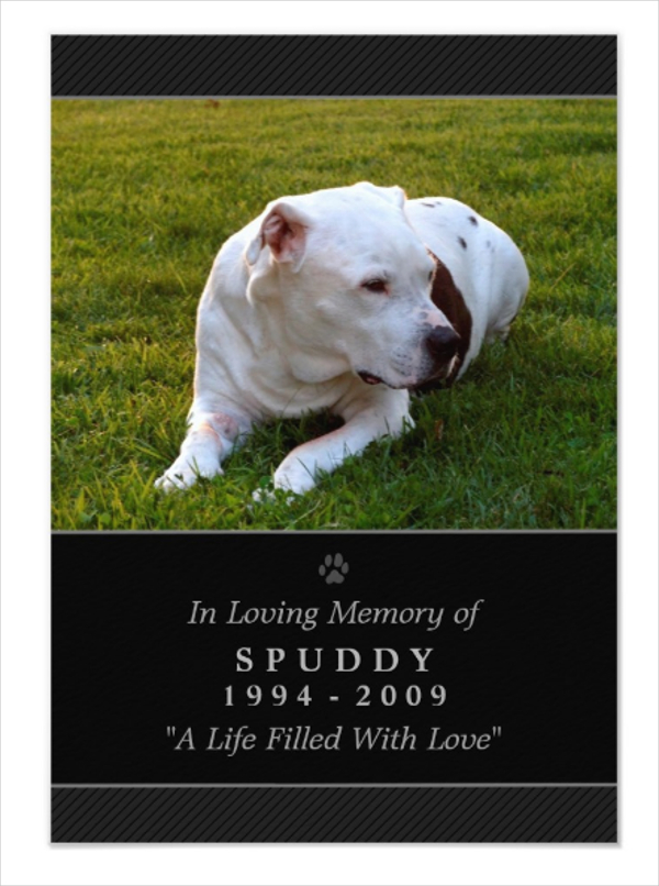 16+ Pet Memorial Card Designs &amp; Templates - PSD, AI