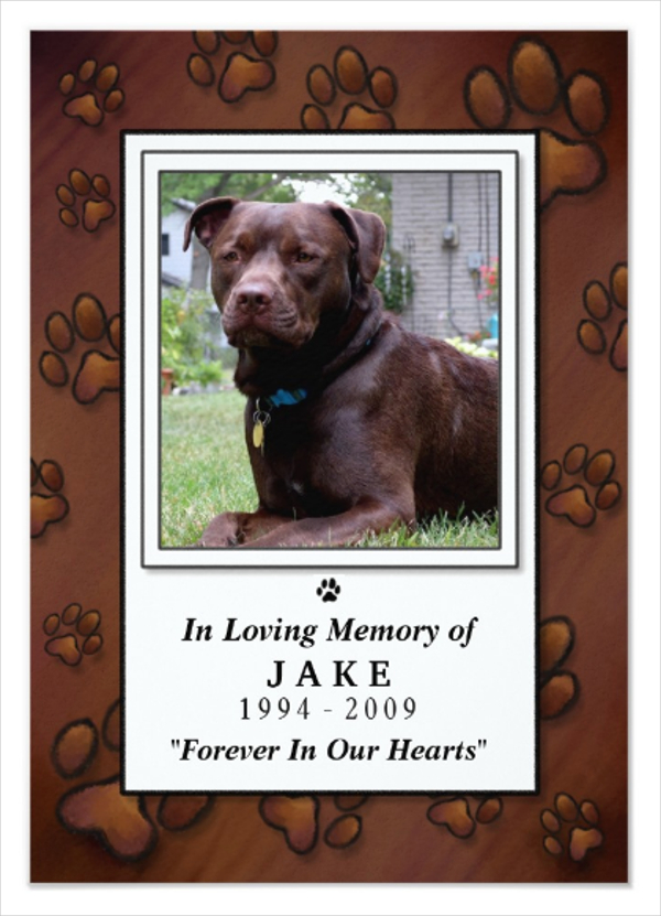 16+ Pet Memorial Card Designs &amp; Templates - PSD, AI
