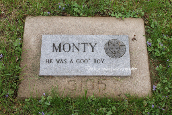 memorial pet cemetery card