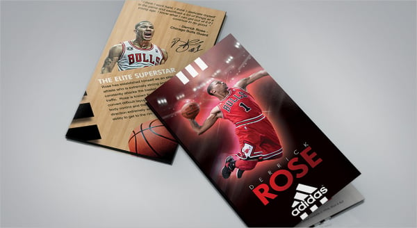 derrick rose basket ball brochure