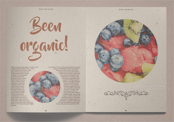 retro organic food brochure