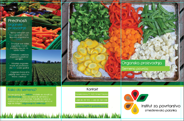 organic trifold food brochure
