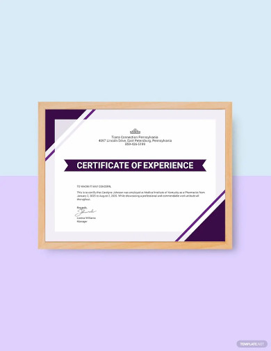 Image 3 for Certificate Of Experience Template