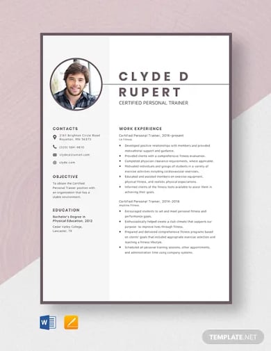 certified personal driver trainer resume template