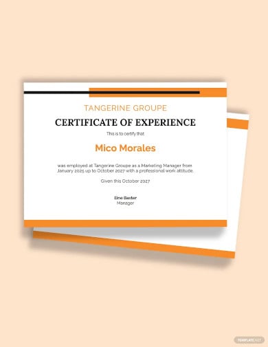 company job experience certificate template