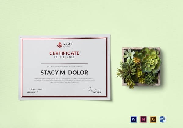 employee experience certificate template