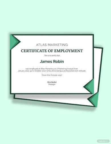 employee job experience certificate template
