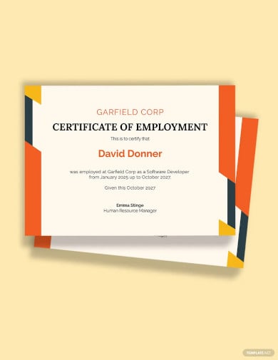 experience certificate for software developer template