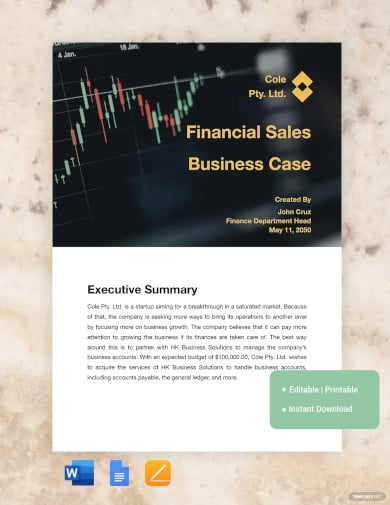 financial business case template