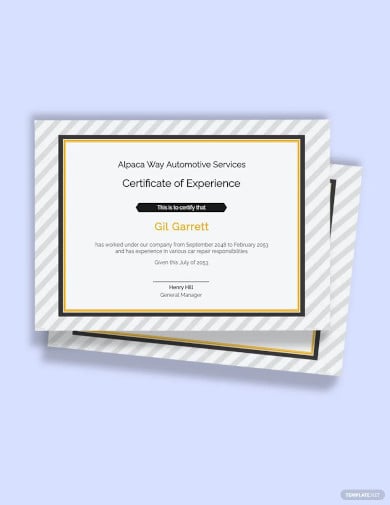 free car workshop experience certificate template