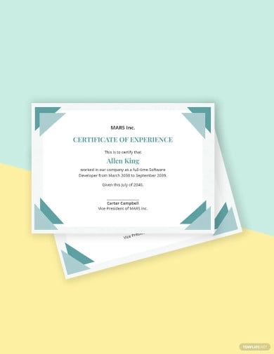it experience certificate template
