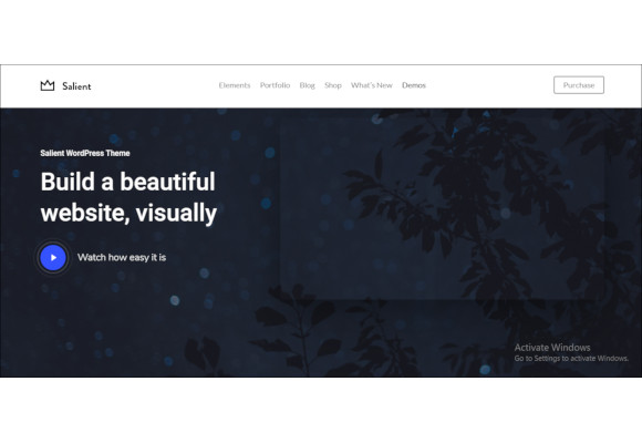 13+ Salient WordPress Themes & Templates