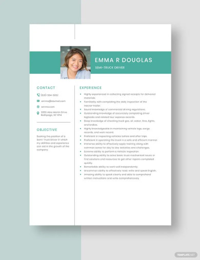 Driver Resume Template - 27+ Free Word, PDF Document Downloads