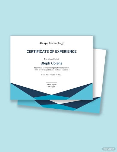 software experience certificate template