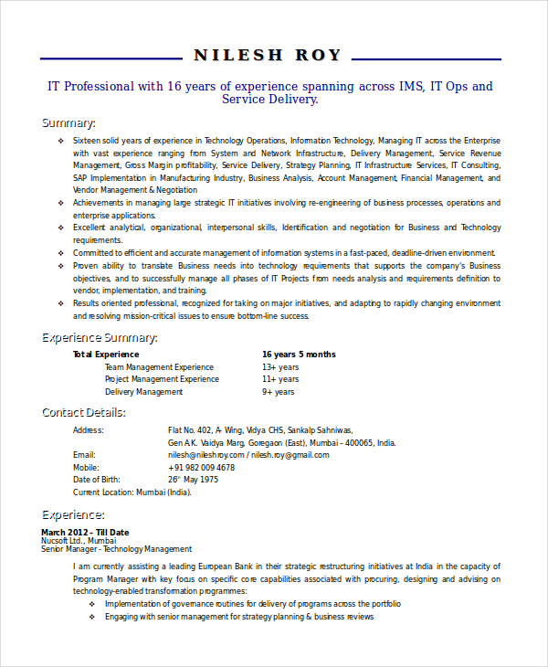 Technical Resume Template 6 Free Word PDF Document Downloads