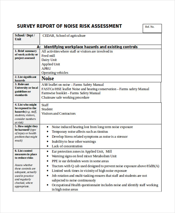 noise survey report template
