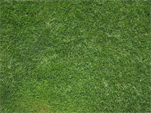 pattern grass texture template