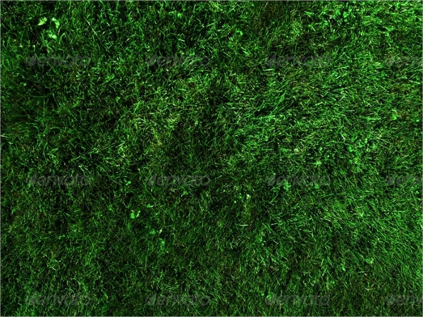 grass lawn textures for photoshop