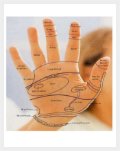 Hand Reflexology Chart Template