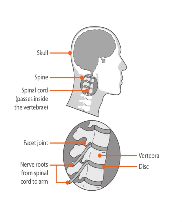 reflexology chart for neck pain template