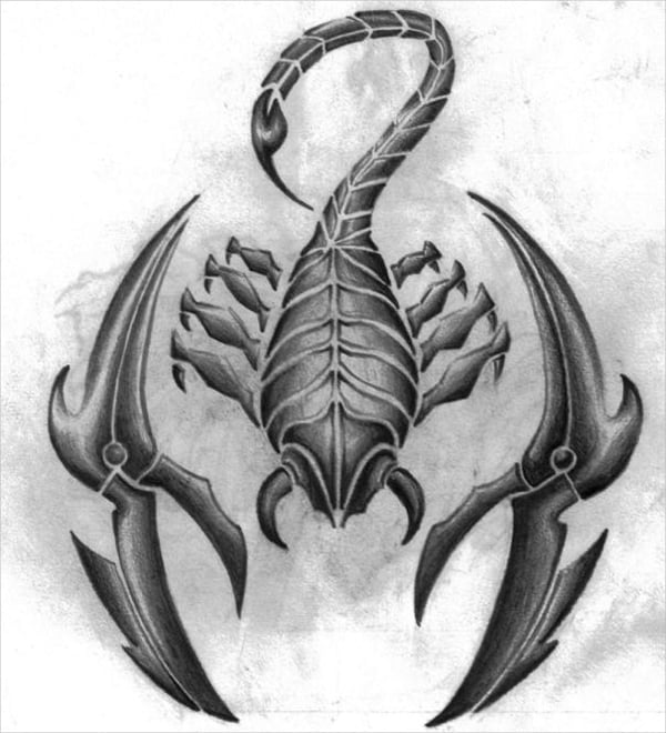 scorpion tattoo drawing