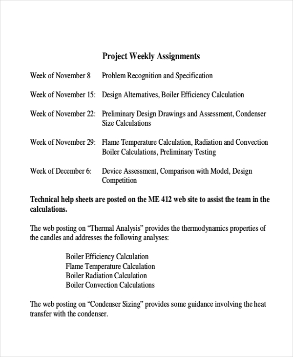 assignment of project meaning