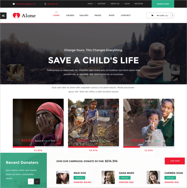 39+ Non Profit WordPress Themes & Templates