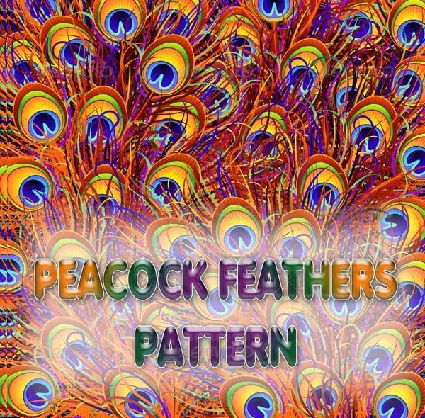 peacock feathers colorful pattern