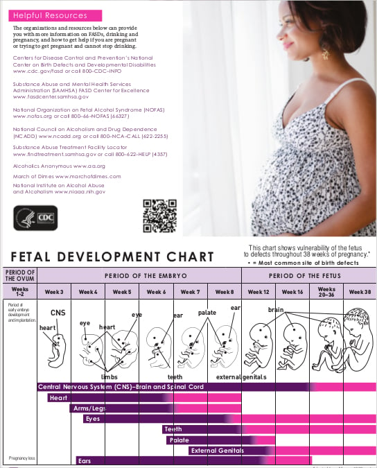 unborn baby growth chart template