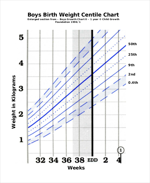 8+ Baby Boy Growth Chart Templates Free Sample, Example, Format