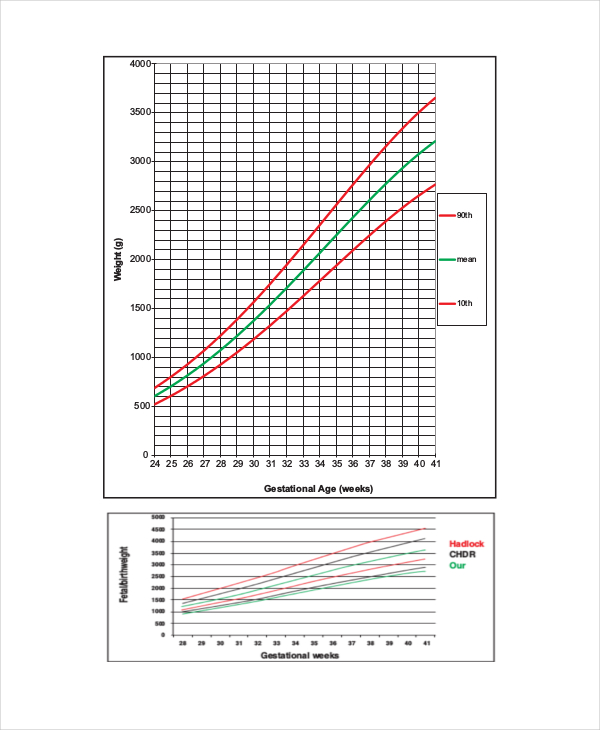 7+ Unborn Baby Growth Chart Templates - Free Sample, Example, Format