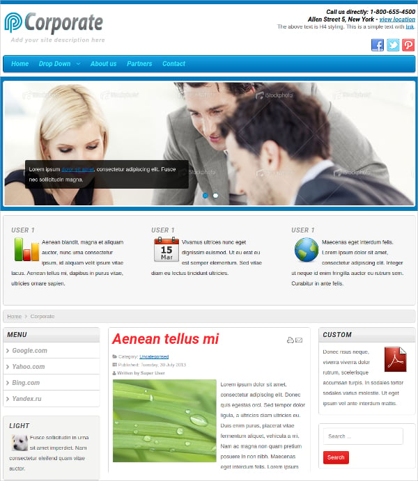 23+ Free Business Website Themes & Templates | Free ...