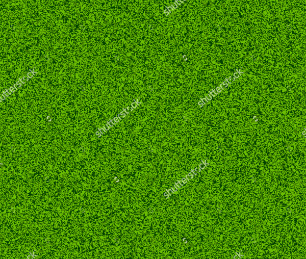 green grass vector