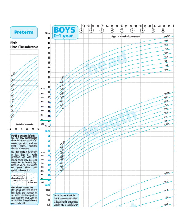 baby boys growth chart template