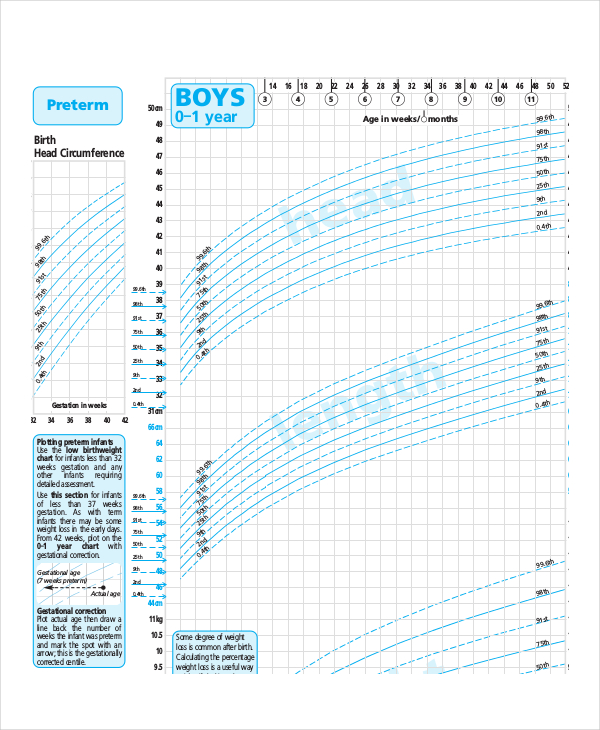 8+ Baby Weight Growth Chart Templates Free Sample, Example, Format