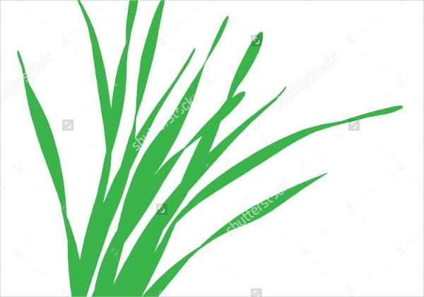 grass blades vector