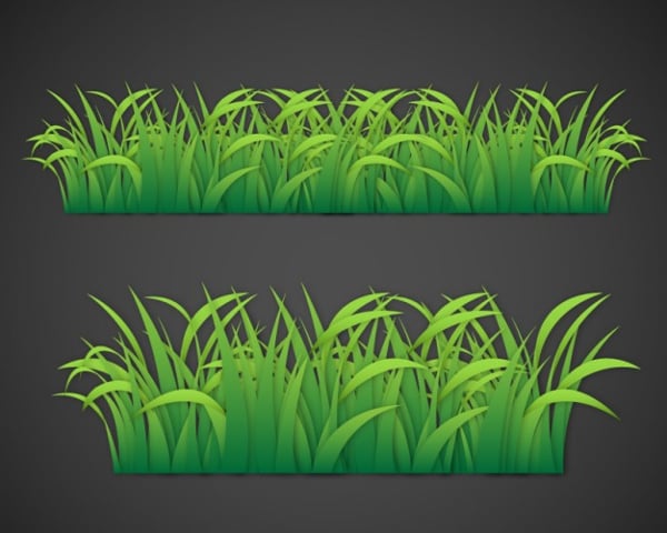 leaves of grass vector