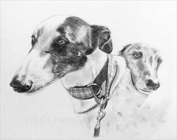 pet portrait graphite pencil drawing1