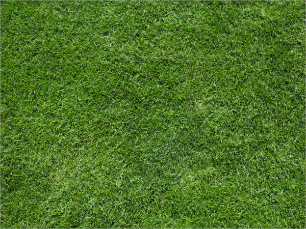 adobe illustrator grass pattern download